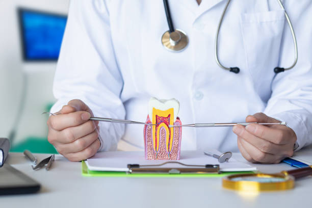 Best Emergency Root Canal Therapy in Flence, OR